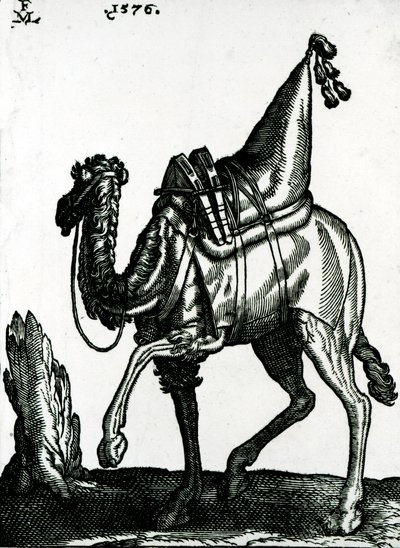 Camel by Melchior Lorck